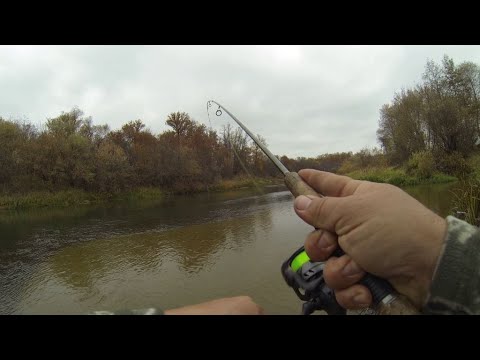 Видео: ОТВОДНОЙ ПОВОДОК НА ОКУНЯ. Рыбалка на живца. р. Хопёр.