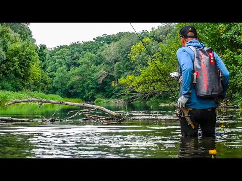 Видео: РЫБОЛОВНОЕ ПУТЕШЕСТВИЕ 🐟🐟🐟 по реке Псёл