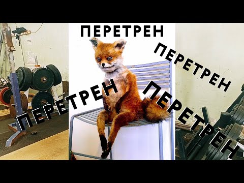 Видео: Методы восстановления после силовых тренировок. Профилактика травм. Секция пауэрлифтинга МФТИ