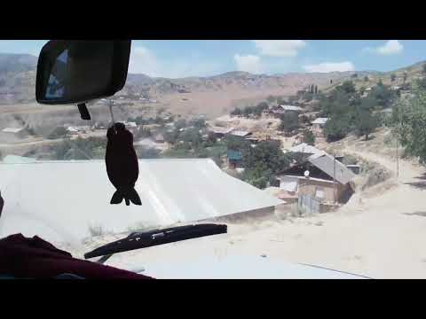 Видео: РОХ БА СУИ Д.КАВОК Н.Ш.ШОХИН