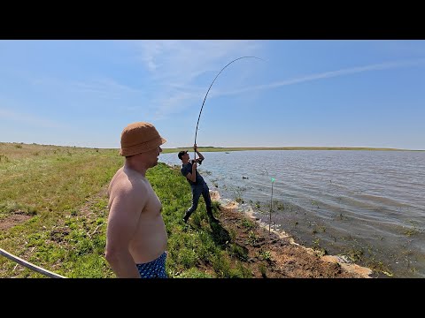 Видео: Рыбалка без суеты: карп, озеро и покой
