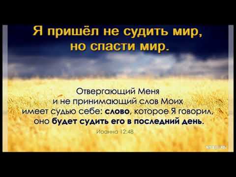 Видео: "Я пришёл не судить мир, но спасти мир". А. Елисеев. МСЦ ЕХБ.