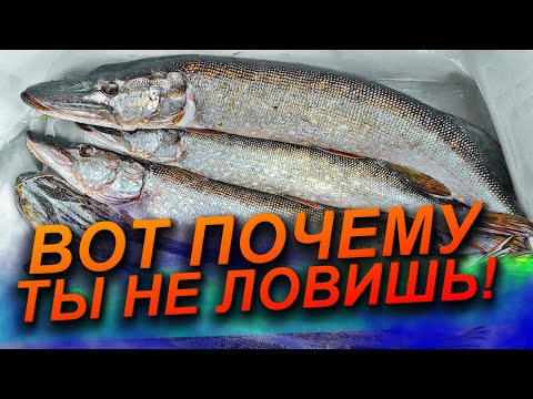 Видео: С ЭТИМ НАБОРОМ ПРИМАНОК ТЫ ВСЕГДА БУДЕШЬ С РЫБОЙ! Как ВСЕГДА ловить БОЛЬШЕ РЫБЫ? Рыбалка на СПИННИНГ