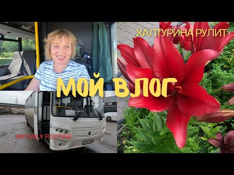 Видео: Влог Будем дружить https://youtube.com/@Olga7777