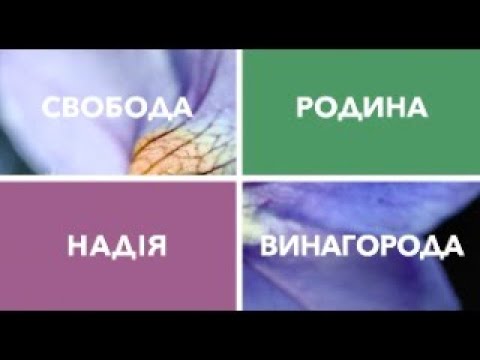 Видео: Відкритий маркетинг план - 12 листопада