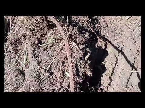 Видео: АКБ найден,итог неплохой,место перспективное.