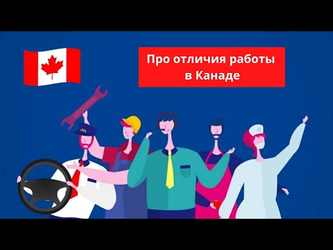 Видео: Отличия работы в Канаде / Фармацевт в Канаде / Помощник фармацевта в Канаде