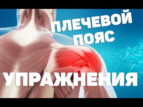 Видео: Супер комплекс упражнений для укрепления мышц плечевого пояса [ЛФК каждый день!]