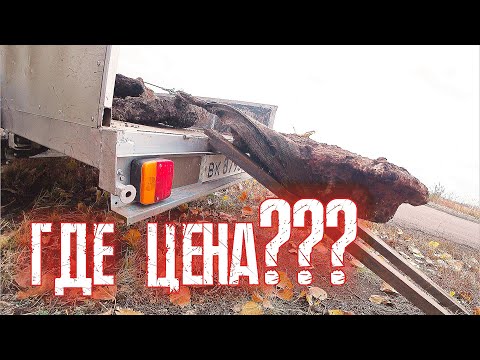 Видео: ЦЕНЫ НА металл НЕ БУДЕТ В ЭТОМ ГОДУ ?!?