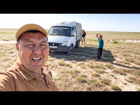Видео: Өзімде сенбедім бүгінгі күнге.Бүгін не болды❓Қойларды қайда апардық🐑Шашлыкпен шарбақтағы туған күн
