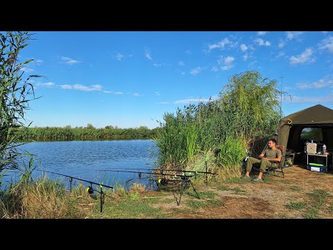 Видео: Дві доби на Дністрі ч. 2. Ми його СПІЙМАЛИ. Нічний Трофей. Сазан, карась, рибалка на річці