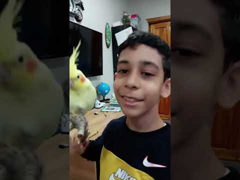 Видео: Ремонт у Кеши⚒️🛠️🪚🔧🪛