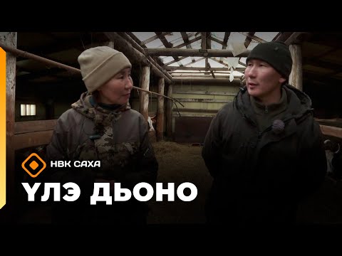 Видео: «Үлэ дьоно»   (21.10.25)