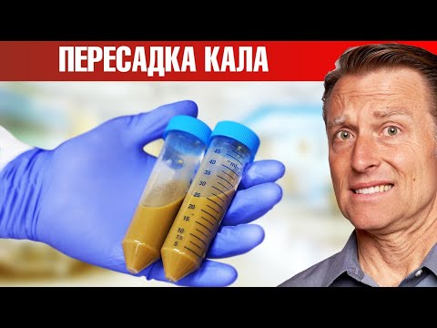 Видео: Трансплантация фекальной микробиоты реально помогает?!😲