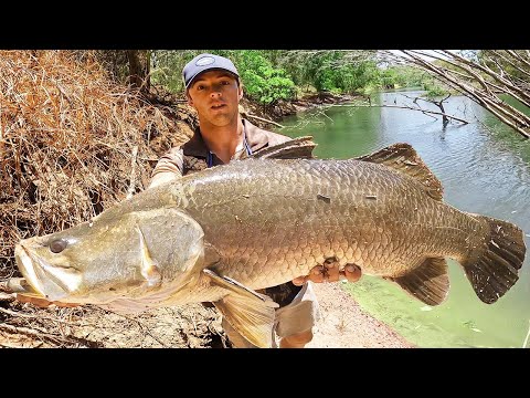Видео: Исследование отдаленных рек для наземных баррамундских исследований