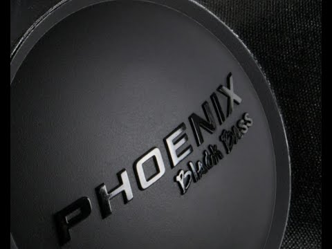 Видео: Флекс от  DL Audio Phoenix Black Bass 15