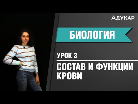 Видео: Состав и функции крови | Биология ЦТ, ЕГЭ