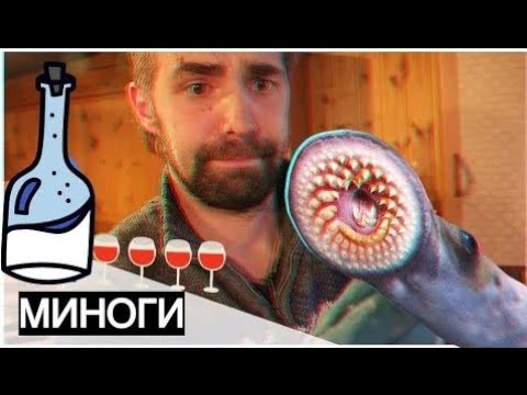 Видео: Миноги | Лучшая закусочка