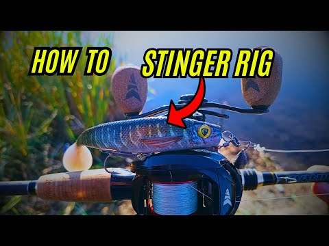 Видео: How to Make a Stinger Rig for Pike Fishing | Стингър монтаж за силикон при риболов на щука