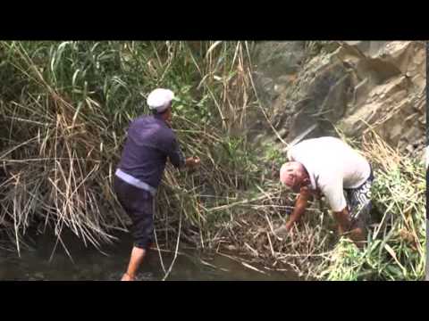 Видео: үч-терек айыл өкмөтүнүн Саргата айылынын тургундары БУУнун