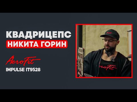 Видео: КВАДРИЦЕПС по НАУКЕ с Гориным Impulse IT9528