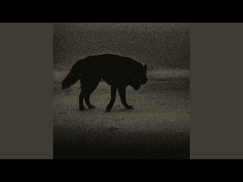 Видео: Джохар Дудаев