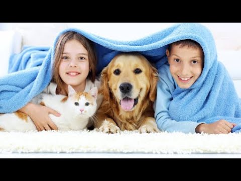 Видео: Заняття доброти «Відповідальне та гуманне ставлення до тварин»