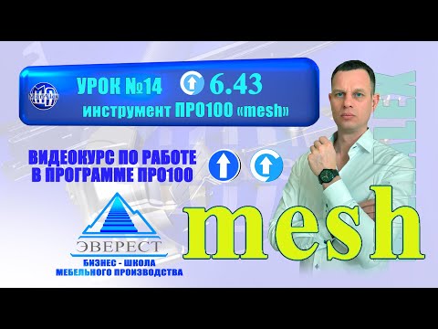 Видео: УРОК №14 ИНСТРУМЕНТ про100 "MESH"