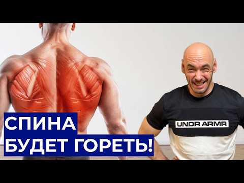 Видео: Эти 3 ПРОСТЫХ упражнения сделают спину КРАСИВОЙ! Как накачать спину в тренажёрном зале?