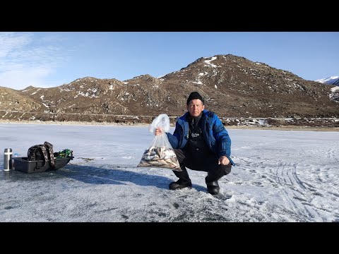 Видео: НАШЁЛ ТО САМОЕ РЫБНОЕ МЕСТО!!! НАДУБАСИЛ КУЧУ РЫБЫ!!! Рыбалка в начале апреля 2024