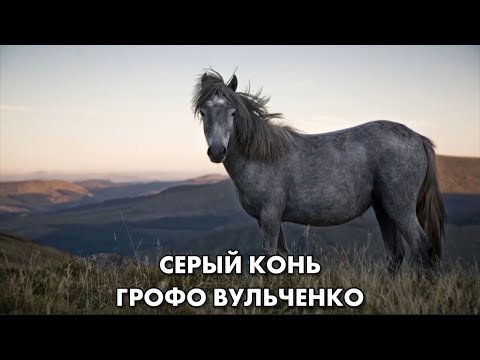 Видео: ГРОФО ВУЛЬЧЕНКО – СЕРЫЙ КОНЬ