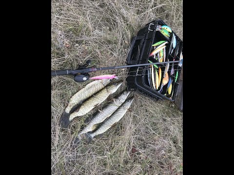 Видео: На озеро за щукой. Твичинг. Выбор мультипликаторной катушки начинающим.