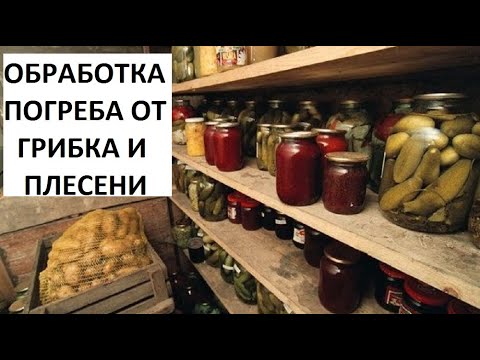 Видео: Обработка погреба от грибка и плесени.