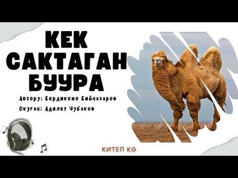 Видео: Кек сактаган буура / Бердикожо Бийназаров / Аудио китеп