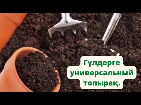 Видео: Гүлдерді тек универсальный топыраққа отырғызса не болады?Грунт для цветов.