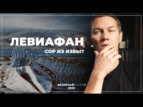 Видео: Левиафан.