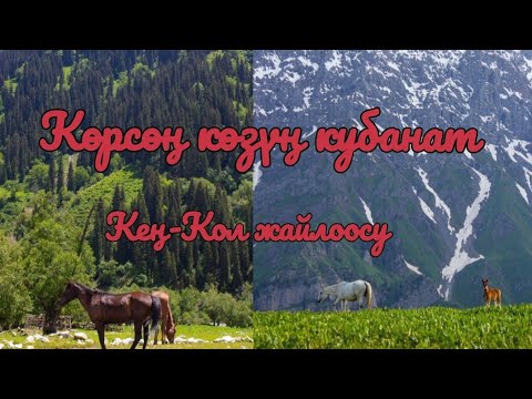 Видео: Жалал-Абад  "Кең-Кол" жайлоосу.