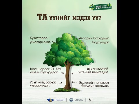 Видео: Мод тариад орхих биш ургуулж арчлах нь хамгийн чухал