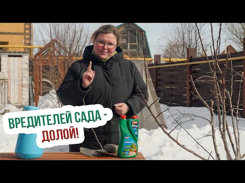 Видео: Обработка сада весной от ВРЕДИТЕЛЕЙ!  Весеннее опрыскивание сада с Екатериной Новиковой