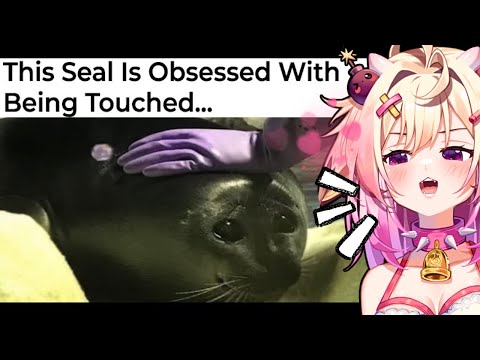 Видео: Что-то, что заставит вас улыбнуться! rosiebellmoo реагирует на Very Wholesome Memes