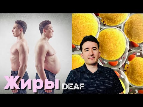 Видео: Виды Жиров в организме. Для глухих #deaf #sign #ржя