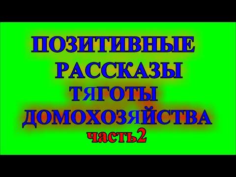 Видео: ОПТИМИСТИЧЕСКИЕ    РАССКАЗЫ❤️ТЯГОТЫ ДОМОХОЗЯЙСТВА❤️ПРОДОЛЖЕНИЕ❤️ЧАСТЬ 2 @TEFI РАССКАЗЫ
