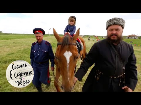 Видео: Сесиль в стране чудес. Ростов 🌏 Моя Планета