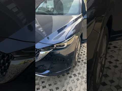 Видео: 27 октября 2025 г.