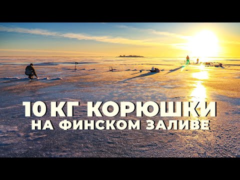 Видео: Корюшка пошла! Поймали 10 килограмм!