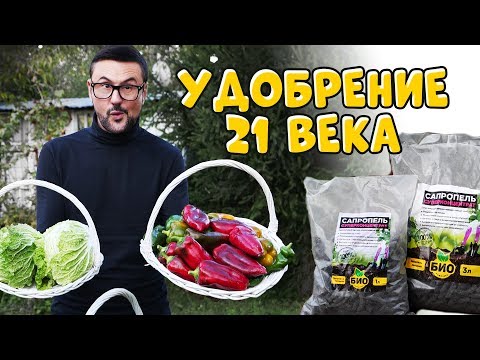 Видео: ПОВЫШАЕМ ПЛОДОРОДИЕ ПОЧВЫ. УДОБРЕНИЕ 21 ВЕКА. САПРОПЕЛЬ
