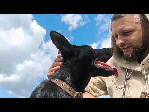 Видео: На новом месте 