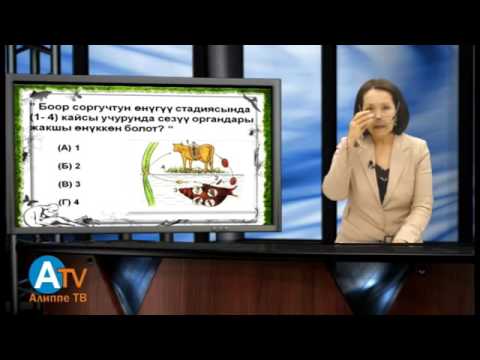 Видео: Предметтик тест  Биология  Жалпы мааалымат