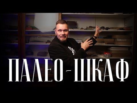 Видео: Коллекция палеонтолога. Павел Скучас и шкаф окаменелостей.