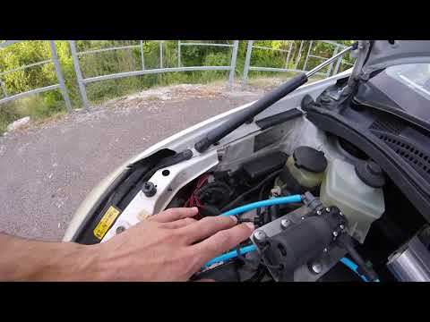 Видео: Мой Ipsum